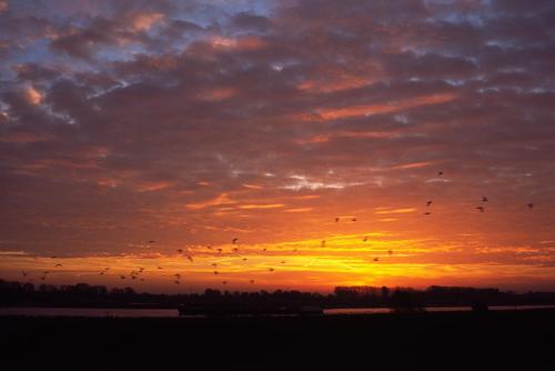 sonnenaufgang_grieth